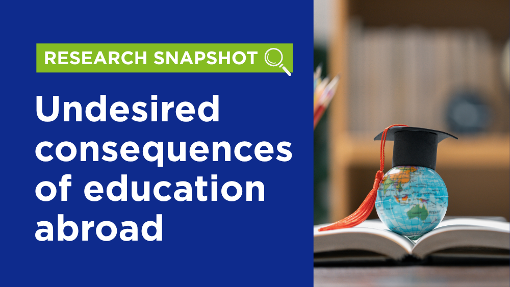 Research Snapshot_Template (13).png