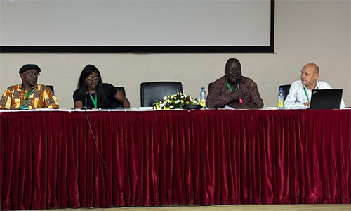 EAIE in Africa_Mervin panel V1.jpg