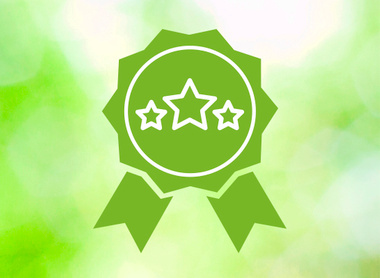 greenbg-award-icon-excellence-internationalisation.jpg