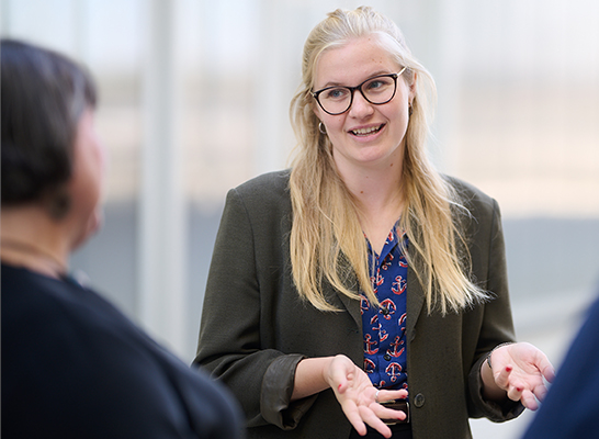 Mentorship programme