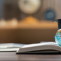 ODCourse_Research-on-internationalisation_LMSbanner.jpg